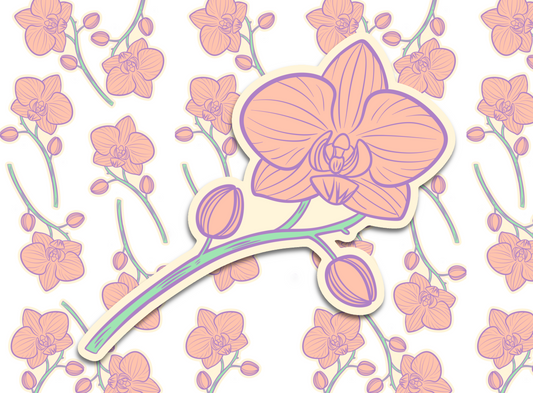 Orchid flower
